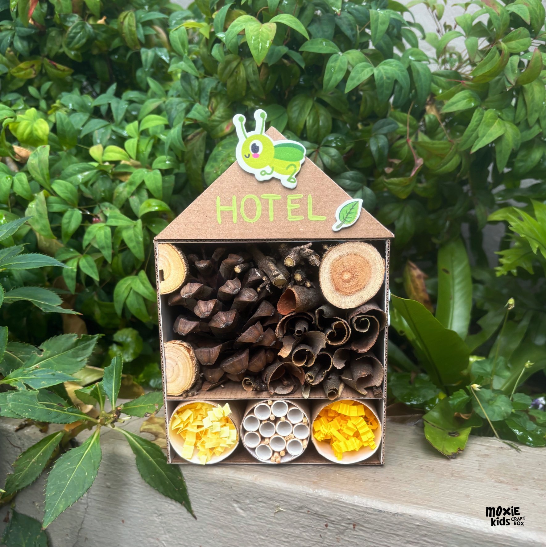 Garden Critters Craft Box